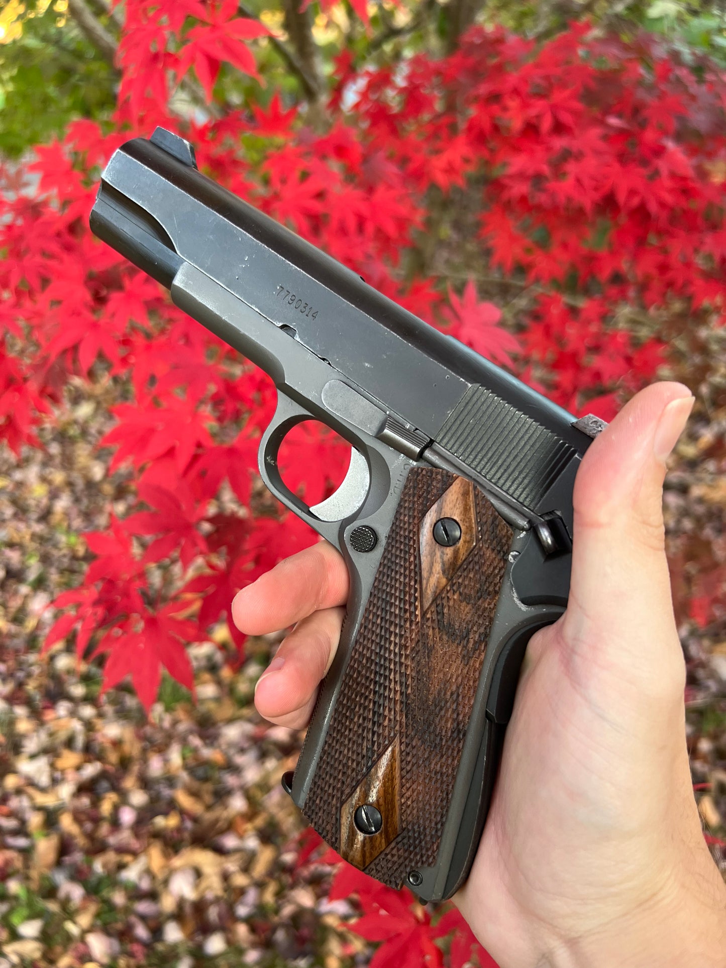 English walnut Double Diamond 1911