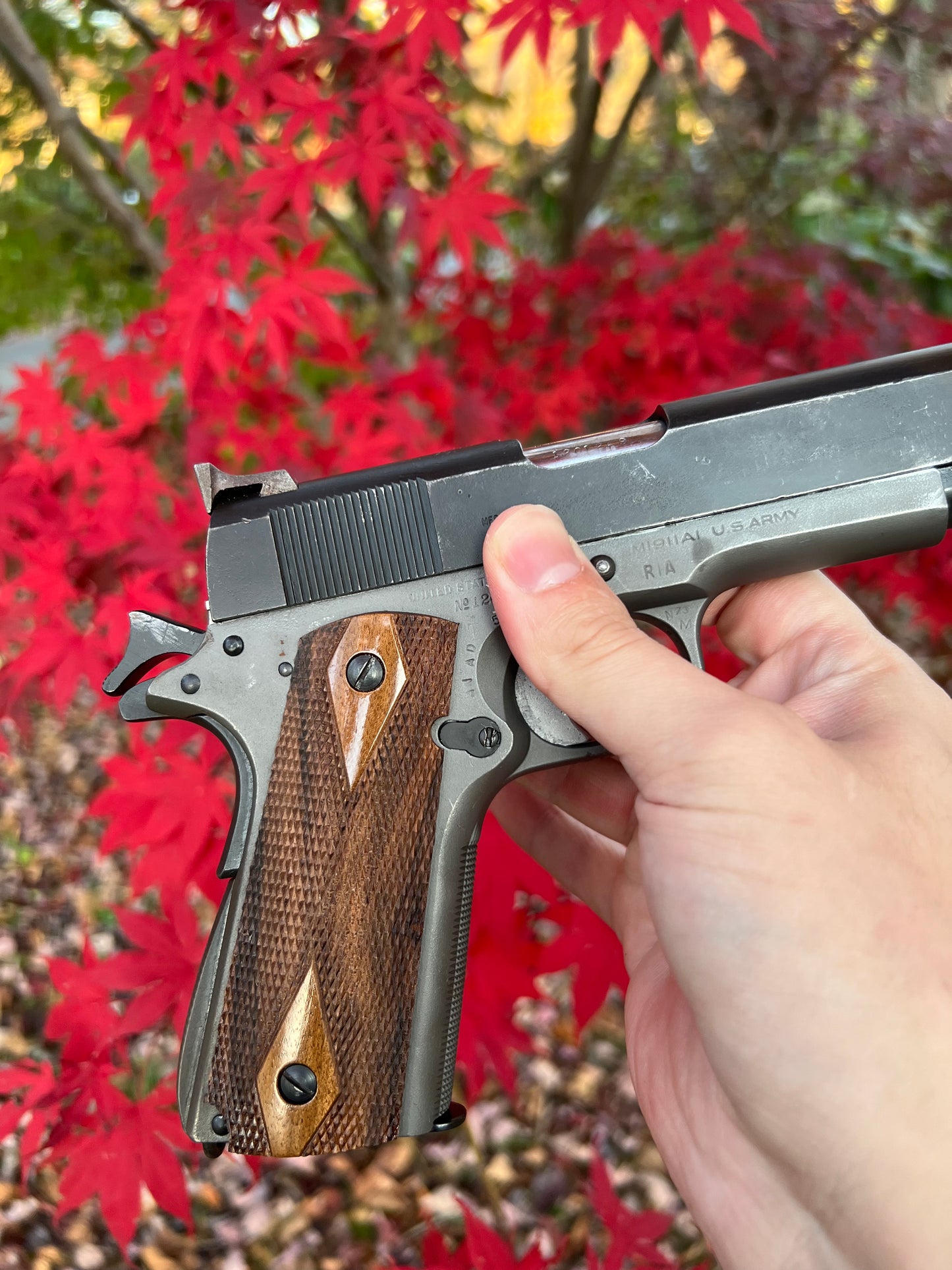 English walnut Double Diamond 1911