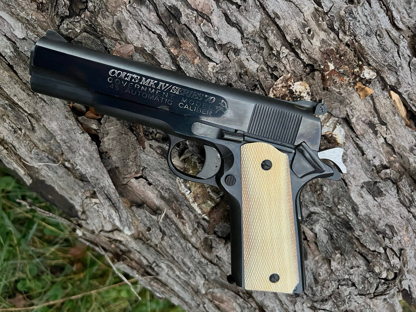 Ivory Checkering
