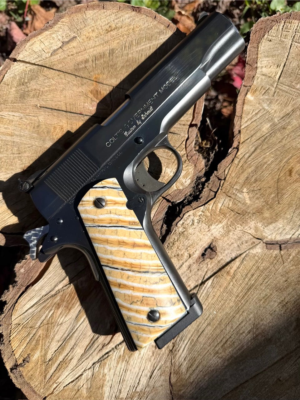 Mammoth Molar 1911 Grips