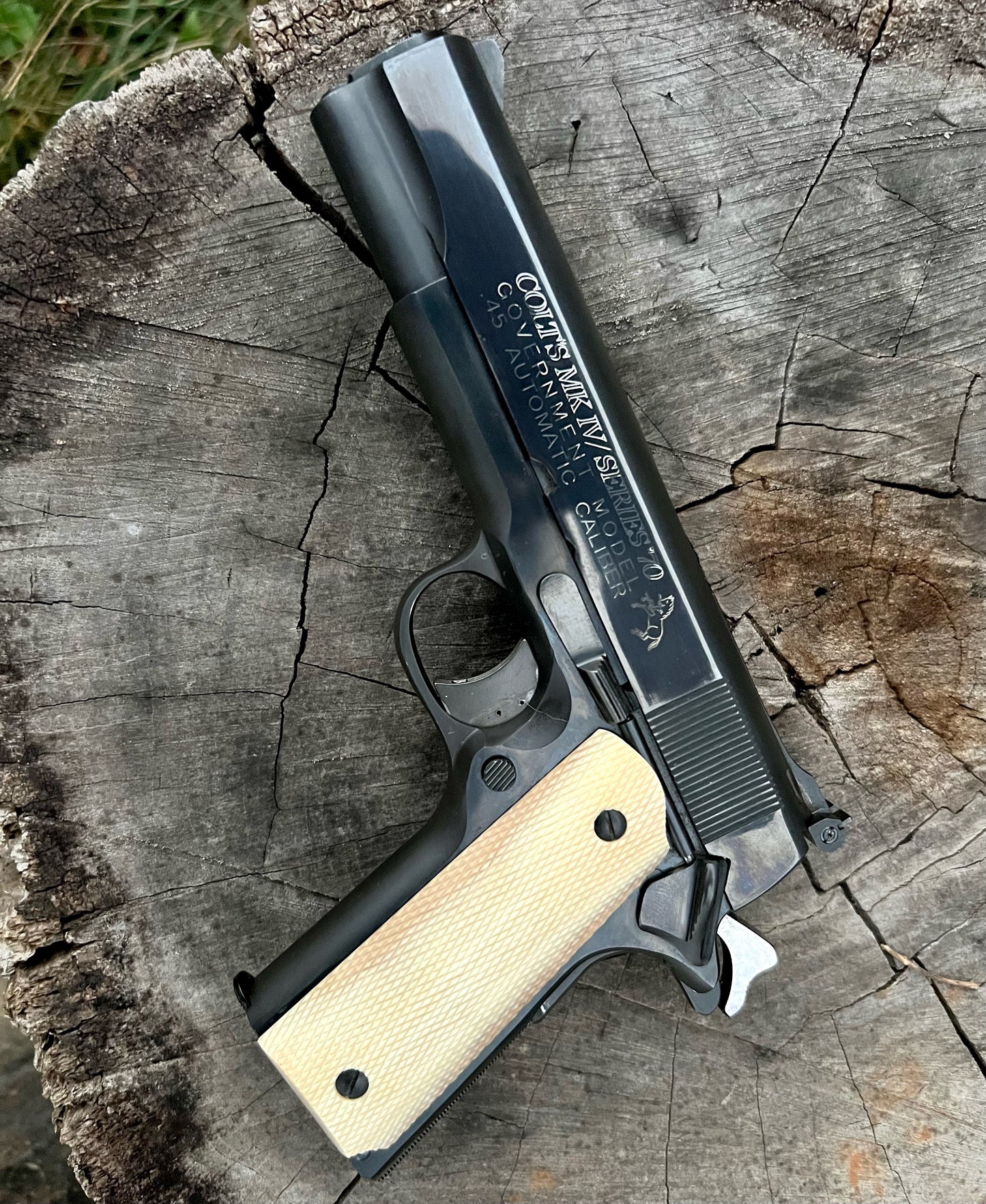 Ivory Checkering